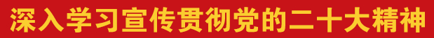 深入學習宣傳貫徹黨的二十大精神
